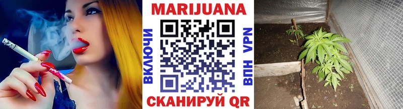 МЕГА ссылки  купить закладку  Чекалин  Канабис сатива 
